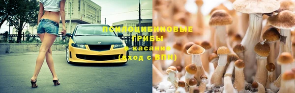 герыч Верхний Тагил